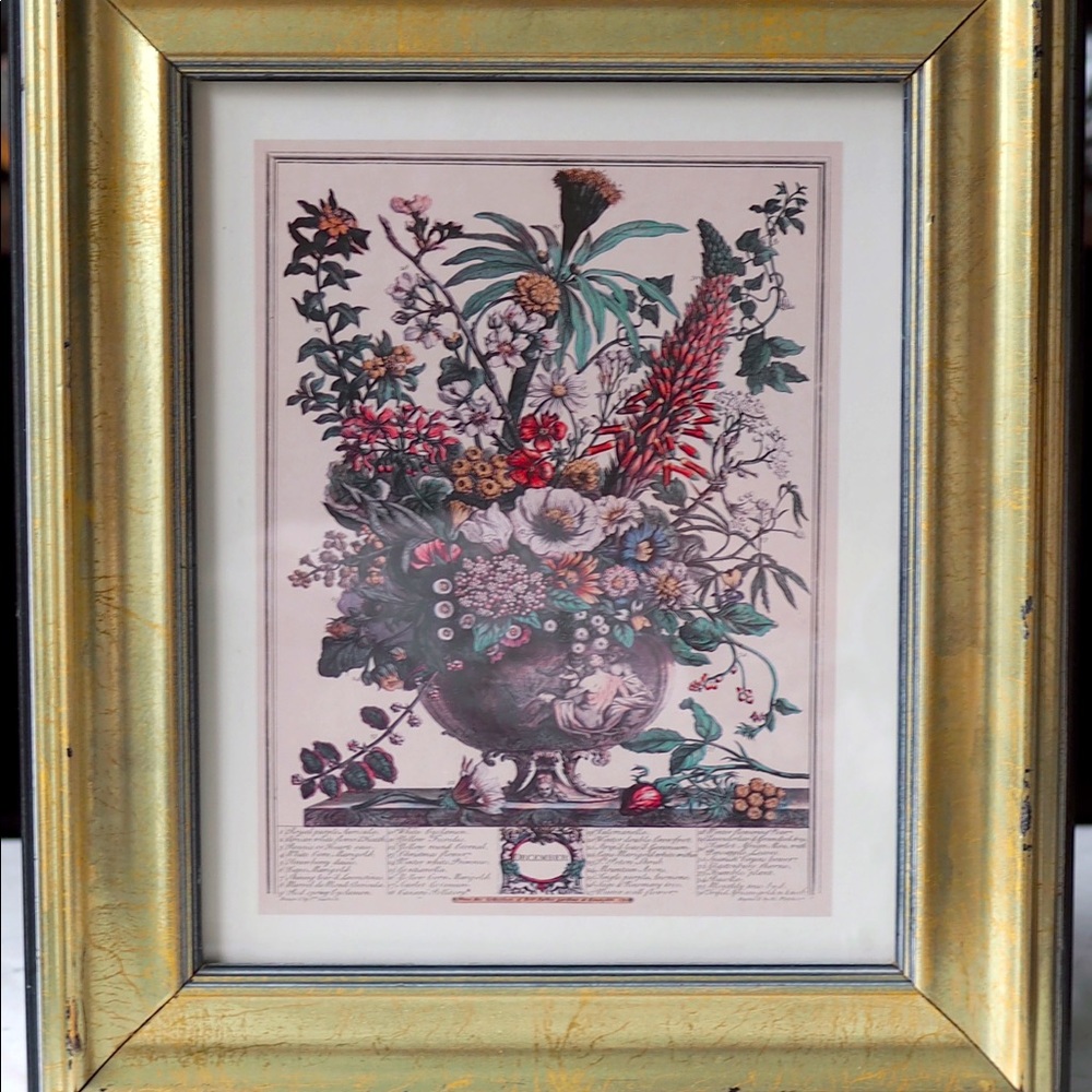 Robert Furber December Floral Print